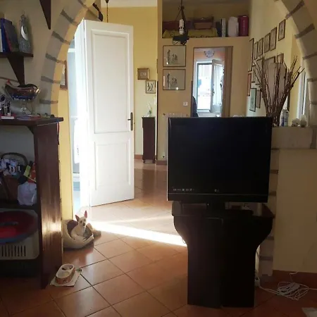 Guest house Ciccarelli *
